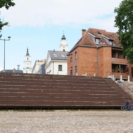 Old Town Apartment With A Separate Entrance Kaunas Esterno foto
